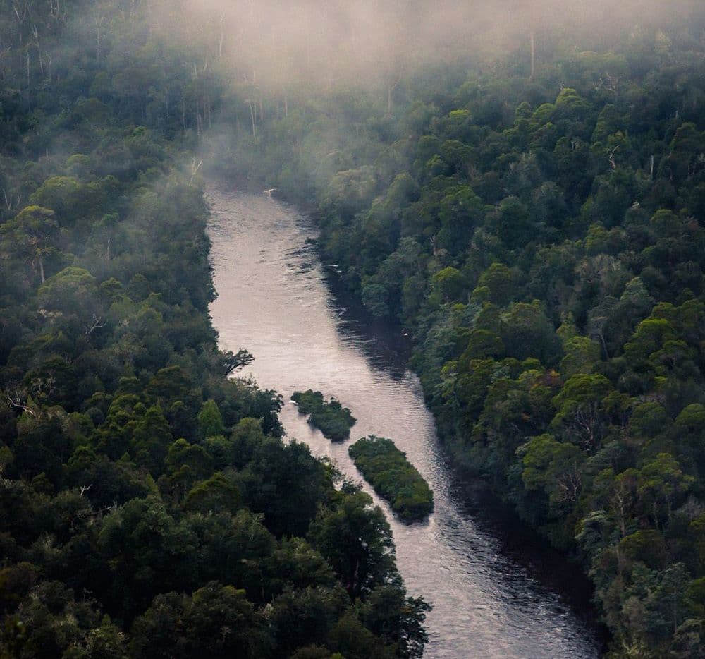 Firmus launches energy and water policies to support Australia’s renewable transition and responsible AI growth